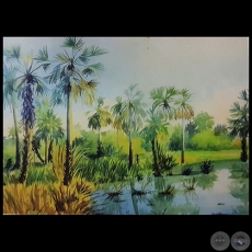 PALMAR CHAQUEÑO - Obra de Emili Aparici